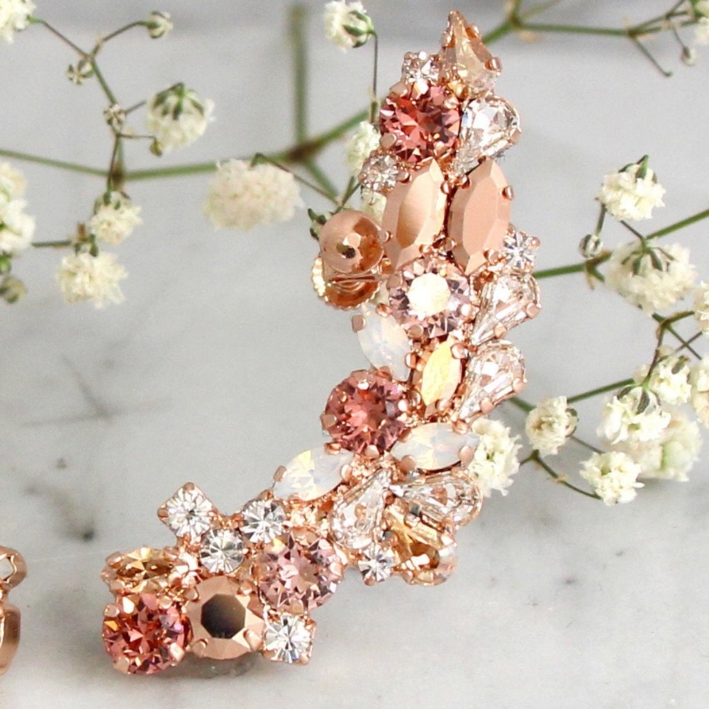Climbing earrings